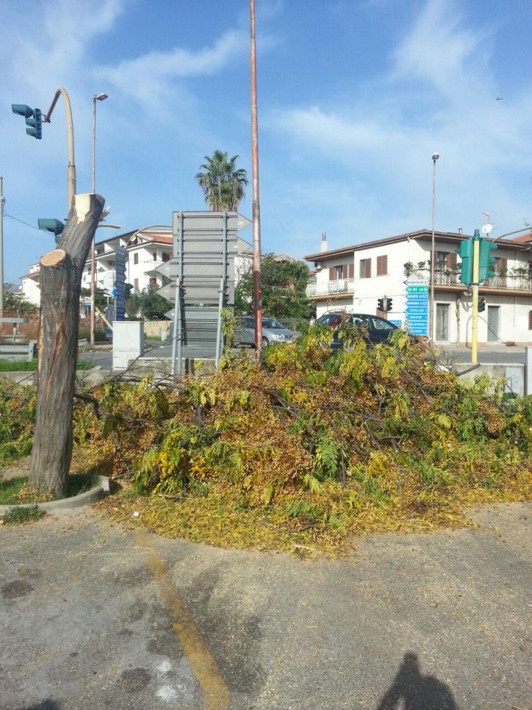 I due alberi tagliati